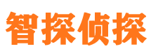 团城山寻人公司